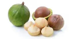 Macadamia oil