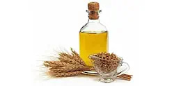 Wheat germ oil