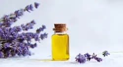 Lavender essential oil